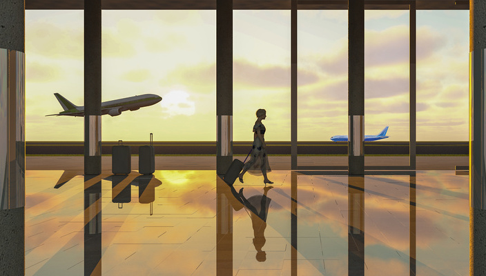 Worldwide mobility during business trips 